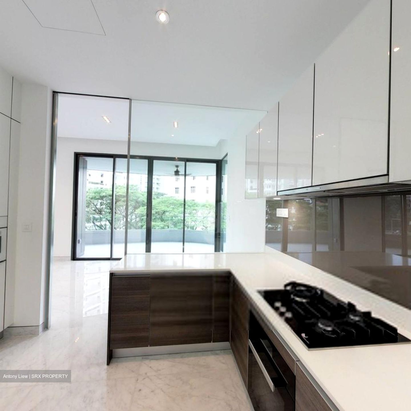 New Futura (D9), Condominium #589960051